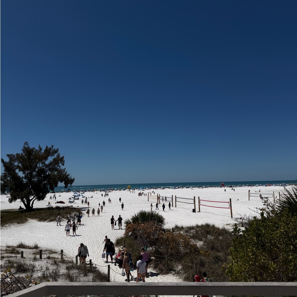 Meet your Posher, Claudia